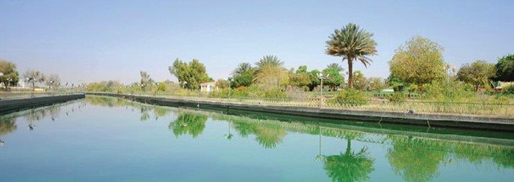 One To One Hotel & Resort Ain Al Faida Al Ain Exterior foto